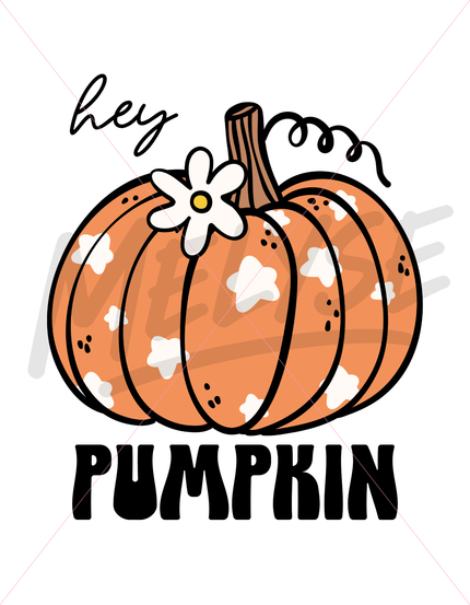 Hey Pumpkin Top
