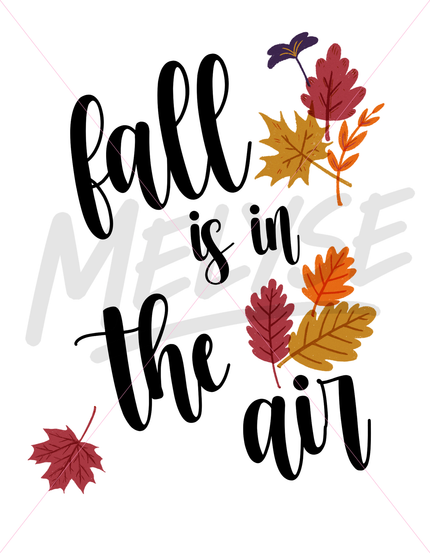 fall is in the air top