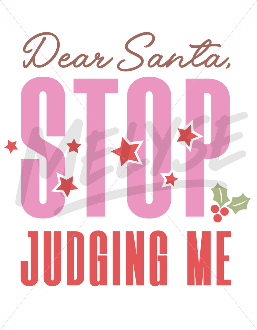 Dear Santa Top