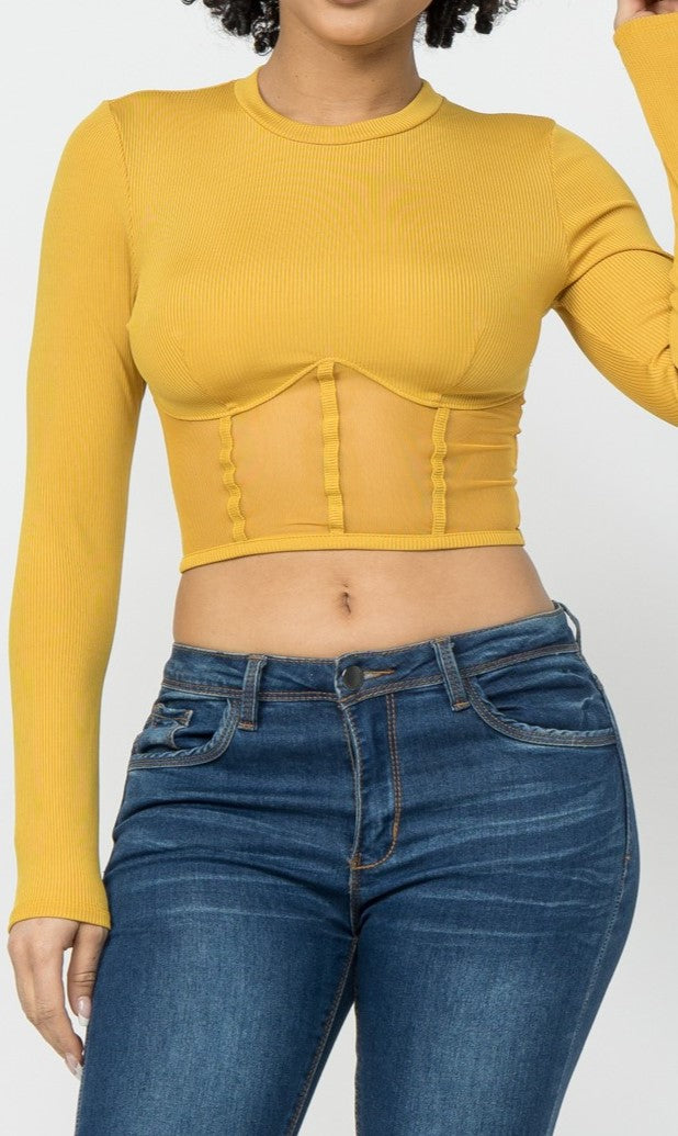 Corset Style Long Sleeve Crop Top